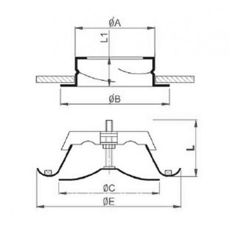 Variant